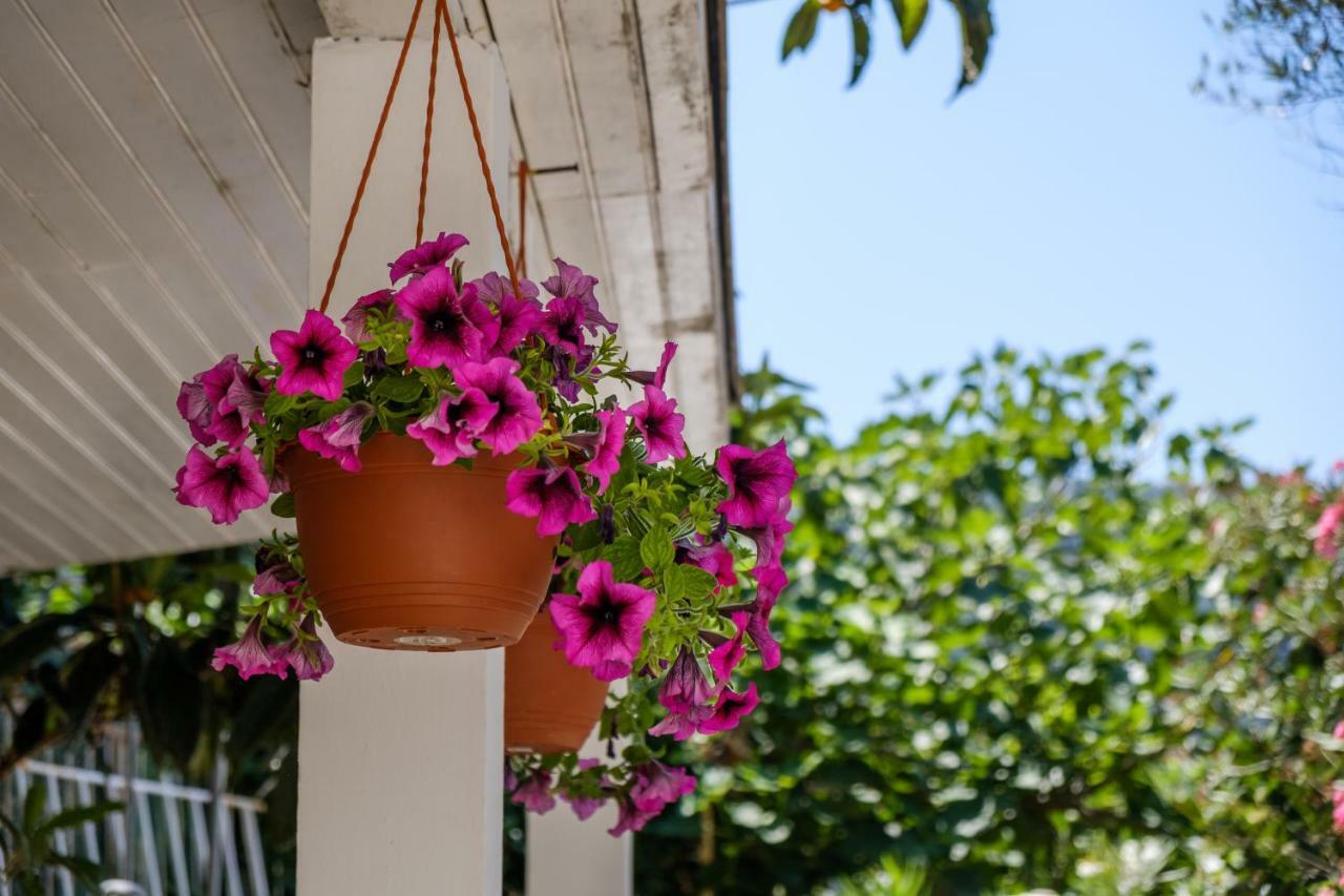 Cuore Di Milka Appartement Veli Lošinj